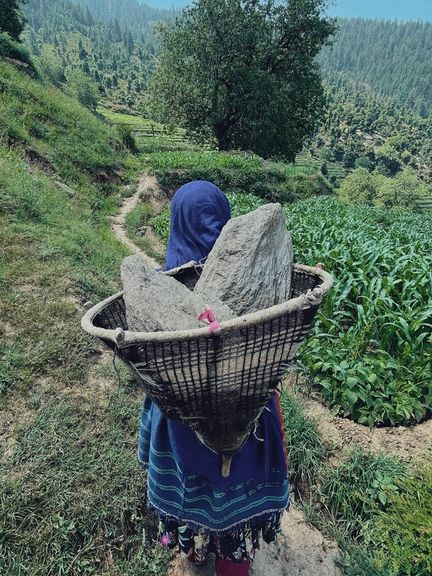 طالبانو په نورستان کې د ښځو پر درنو کارونو بندیز ولګاوه