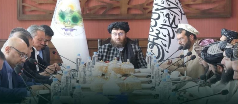 طالبان غواړي له ازبکستان سره د غوښې صادرات زیات او کرنیزې همکارۍ پیاوړې کړي