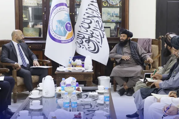 ترکي شرکتونه د افغانستان د سرو زرو او کاني زېرمو په برخو کې پانګونې ته لېواله دي