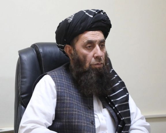 طالب چارواکی: م.م د کوکنارو پر کښت له بندیز وروسته د کروندهګرو پر وړاندې بې غوري کوي