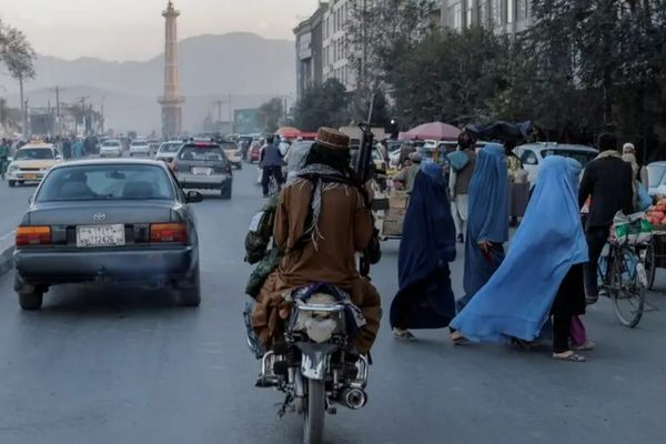 Eliminated Six Taliban Members In 24 Hours, Claims NRF