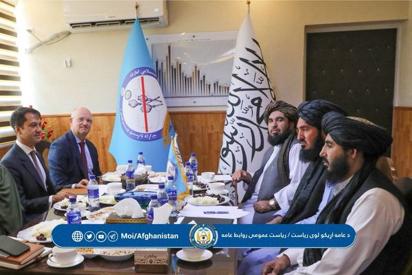 طالبانو له ملګرو ملتونو د نشه یي توکو پر وړاندې د مبارزې لپاره د مرستې غوښتنه وکړه