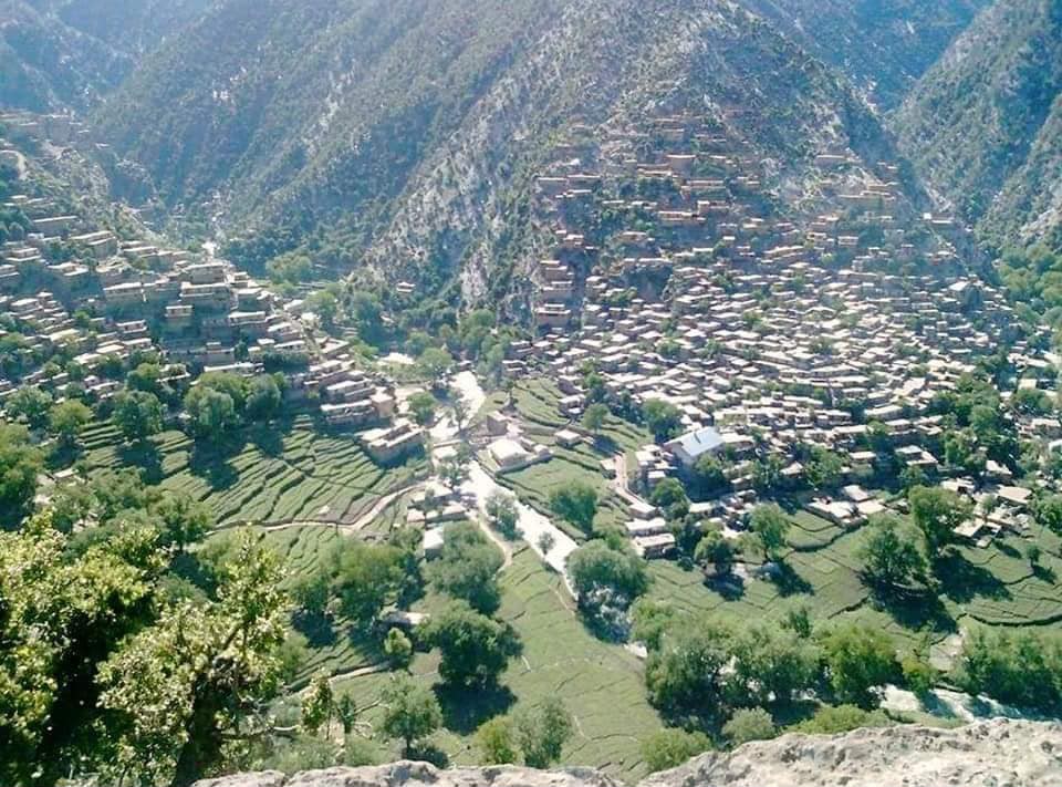 منابع: تیراندازی گردشگران در نورستان جان یک نفر را گرفت