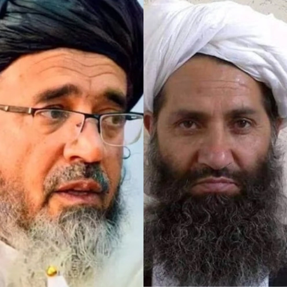 د جرمني حکومت د طالب مشرانو د نیولو د حکم هرکلی وکړ