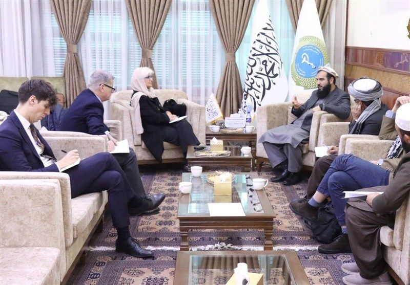 طالبانو له ایټالیا د سرطان ناروغیو د څیړنیز مرکز د جوړیدو په پرخه کې د همکارۍ غوښتنه وکړه