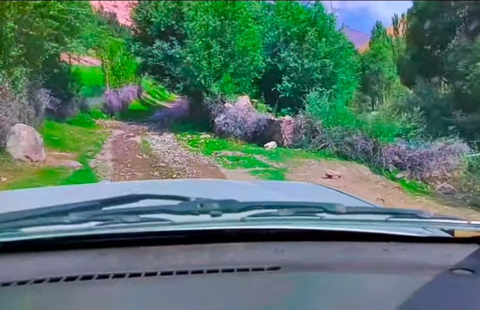 باشندگان شغنان: «خرابی جاده‌ها جان مردم را هر سال با خطر جدی روبه‌رو می‌کند»