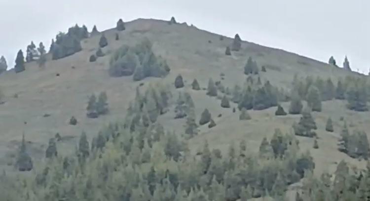 د پکتیا ځاځي اریوب کې ډیورنډ کرښې ته نږدې د طالبانو او پاکستاني پوځ ترمنځ بیا جګړه شوې