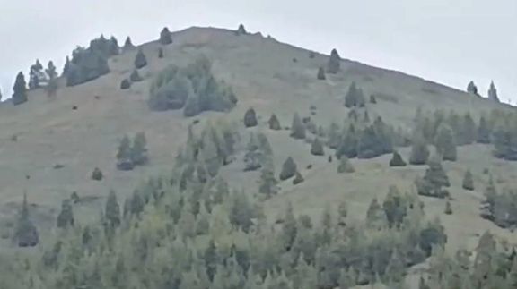 د پکتیا ځاځي اریوب کې ډیورنډ کرښې ته نږدې د طالبانو او پاکستاني پوځ ترمنځ بیا جګړه شوې