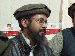 روزنامه دان: یک فرمانده ارشد طالبان پاکستانی در ولایت کنر افغانستان کشته شد