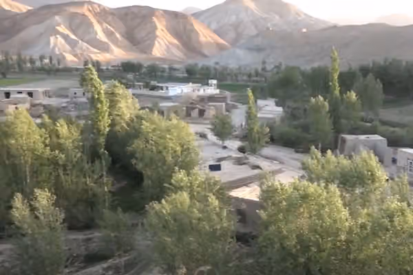 متحدې جبهې په غور کې د یوه طالب د وژلو او یوه بل د ټپي کولو ادعا کړې