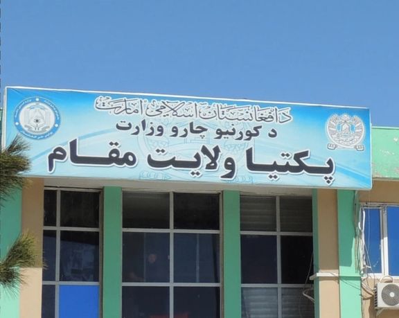 د طالبانو د سوېل ختیزو ولایتونو والیان د نشهيي توکو د قاچاق او کښت پر مخنیوي غږېدلي