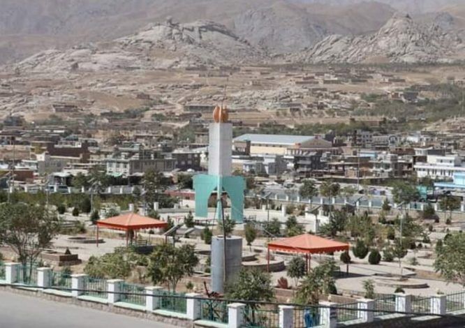 طالبان در دایکندی اعلام کرد که سگ‌های ولگرد را با «معیارهای اسلامی» می‌کشد