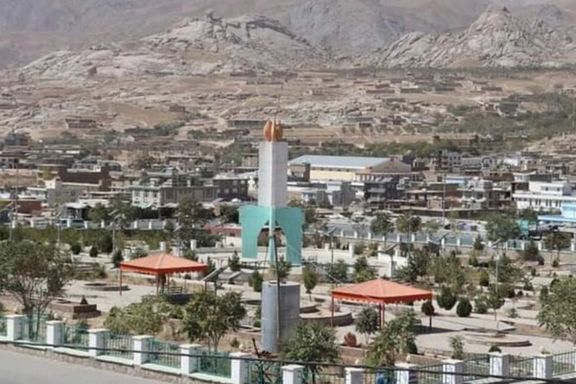 طالبان در دایکندی اعلام کرد که سگهای ولگرد را با «معیارهای اسلامی» میکشد