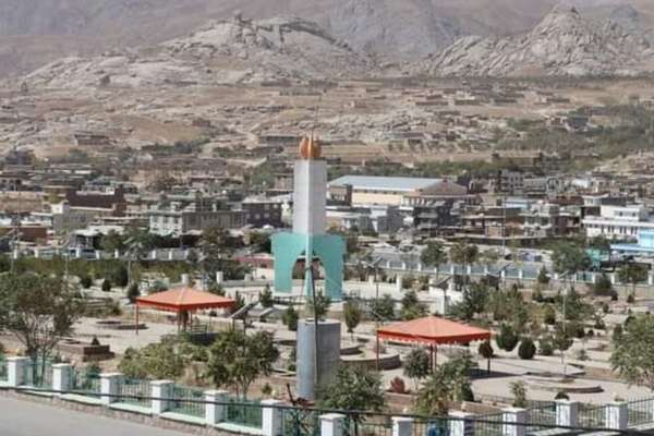 طالبان در دایکندی اعلام کرد که سگهای ولگرد را با «معیارهای اسلامی» میکشد