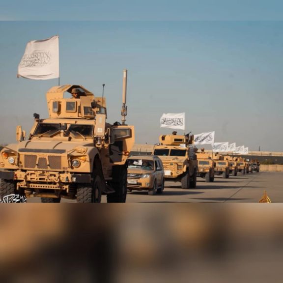 ۲۲ سناتور جمهوریخواه با پیشنهاد لایحهای خواهان شناسایی طالبان به حیث سازمان تروریستی شدند