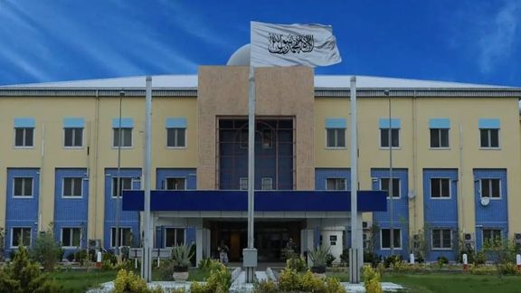 د طالبانو د کورنیو چارو وزارت سیمهییزو طالبانو ته د وایفای کاروونکو د نیولو امر کړی دی