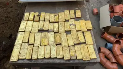 کارگران ساختمانی در بلجیم گنجینهای از طلا به ارزش ۹ میلیون یورو پیدا کردند