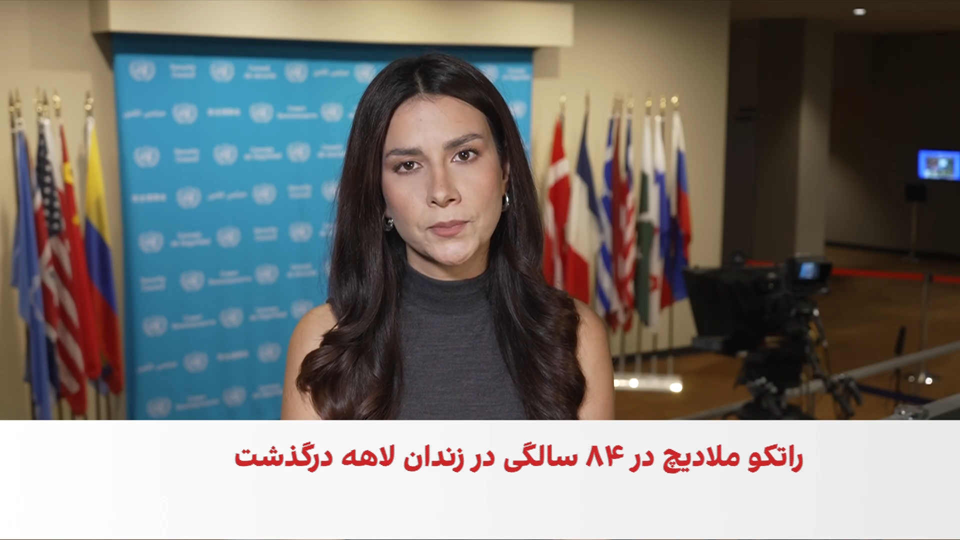 «قصاب بوسنیا» چه کسی بود و چرا به این نام شهرت یافت؟