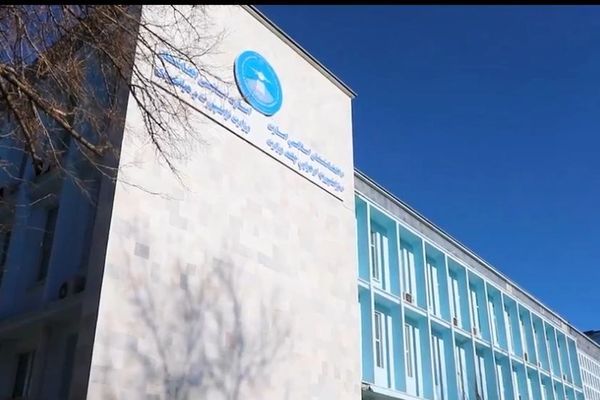 طالبان: د لاجورد له لارې ترکیې، سعودي، امریکا، استرالیا او هالنډ ته صادراتي توکي لېږدوو