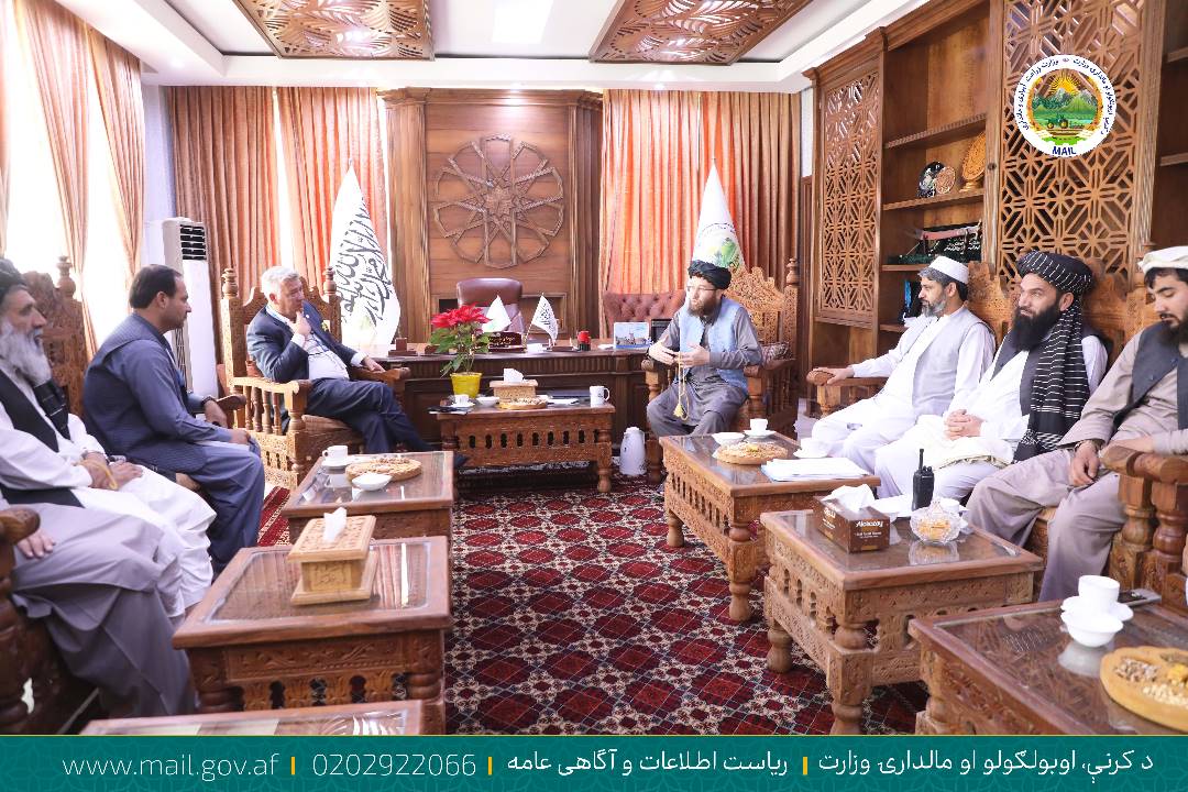 وزیر زراعت طالبان: به کمک سازمان ملل محصول گندم امسال به پنج میلیون تن رسیده است