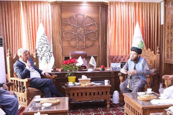 وزیر زراعت طالبان: به کمک سازمان ملل محصول گندم امسال به پنج میلیون تن رسیده است