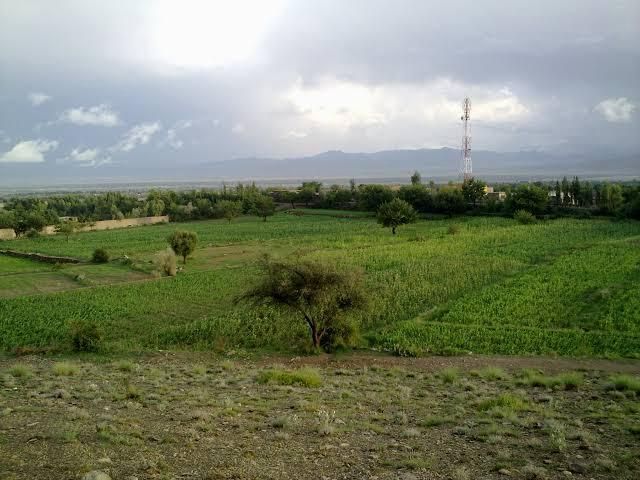 طالبان در خوست بیش از ۱۲ هزار جریب زمین را دولتی اعلام کرد
