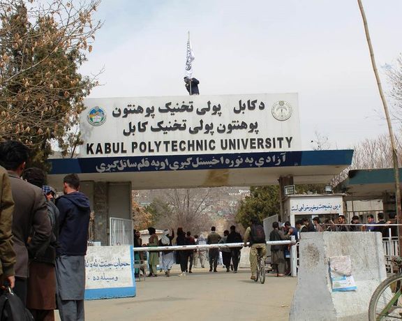 در ادامه تصفیه ادارهها، طالبان دهها استاد دانشگاه را برکنار کرده است