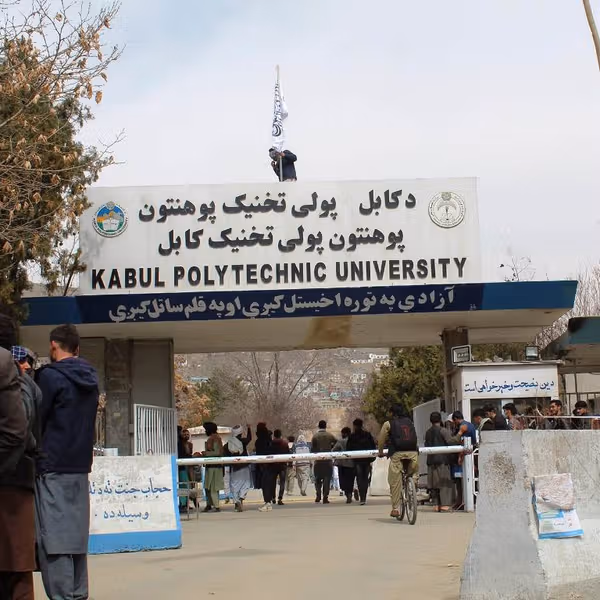 در ادامه تصفیه ادارهها، طالبان دهها استاد دانشگاه را برکنار کرده است