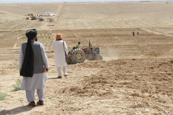 طالبان وایي څه باندې ۲زره راستنو شویو کډوالو کورنیو ته یې استوګنیزې نمرې ویشلي