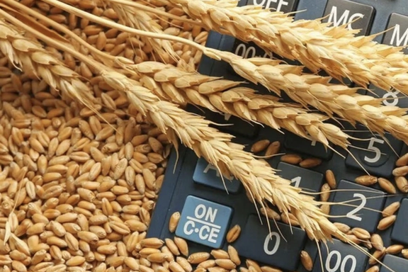 كازاخستان تعلن زيادة كبيرة في صادرات القمح إلى أفغانستان