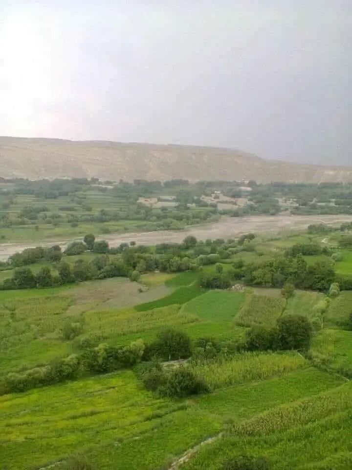 د ننګرهار په خوګیاڼیو کې د جمهوریت د وخت د محلي پولیسو یو قومندان ووژل شو