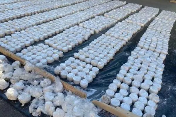 Kyrgyzstan Announces Seizure Of Drug Shipment Worth $3.5 Million