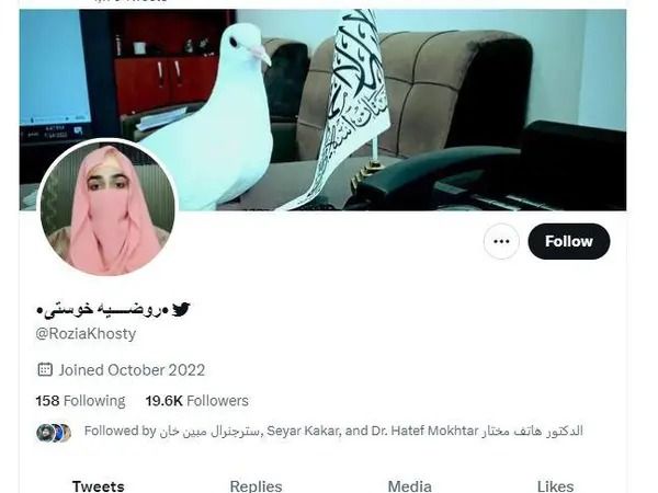 طالبان گروه‌های مجازی برای تبلیغات مثبت و حمله به مخالفان در شبکه‌های اجتماعی گماشته‌اند