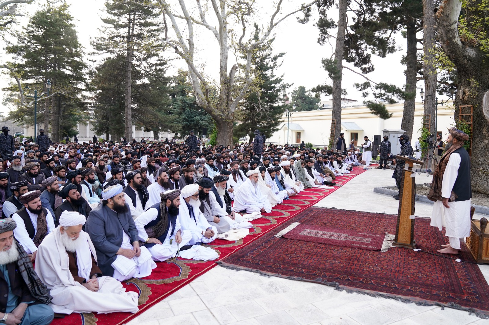 د طالبانو د ریاست الوزرا مرستیال عبدالغني برادر د اختر د وینا پر مهال 