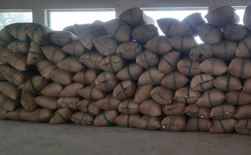 طالبان می‌گویند ۱۰۰ کیسه موی سر انسان را در گمرک تورخم کشف و ضبط کردند