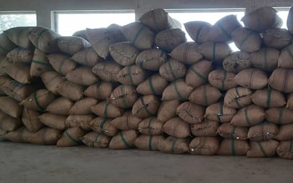 طالبان میگویند ۱۰۰ کیسه موی سر انسان را در گمرک تورخم کشف و ضبط کردند