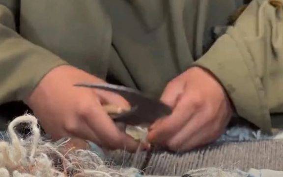 سازمان ملل در بلخ یک مرکز بافندگی و تولید قالین برای زنان میسازد