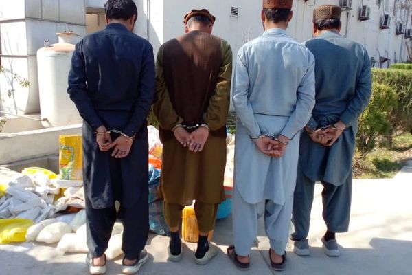 طالبان وايي په هلمند او ننګرهار کې یې د نشهیي توکو د پروسس ۱۱ کارخونې لهمنځه وړې دي