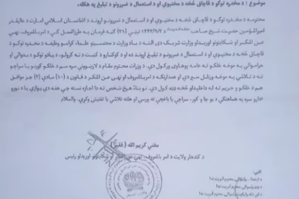حظر دخول المحتسبين إلى المنازل للقضاء على زراعة الخشخاش في قندهار