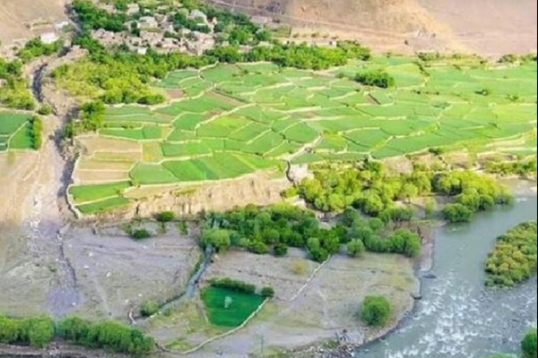 Taliban Confirms Sexual Assault of Woman in Panjshir by Its Members