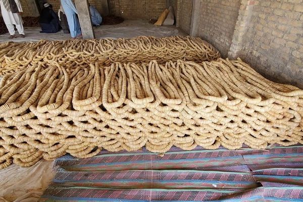 د وچو مېوو افغان سوداګر: د واګه لارې د بندېدو له امله هند ته د وچې میوې صادرات درول شوي