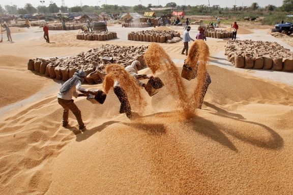 رسانه هندی: انتقال گندم کمکی هند به افغانستان به زودی آغاز میشود