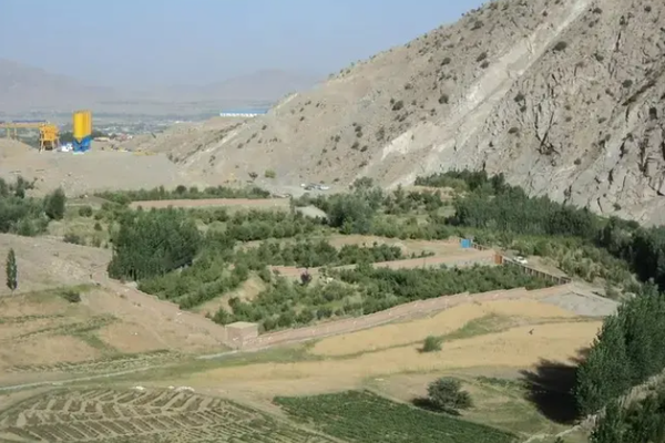 Killed Four Taliban Members in North of Kabul, Claims NRF