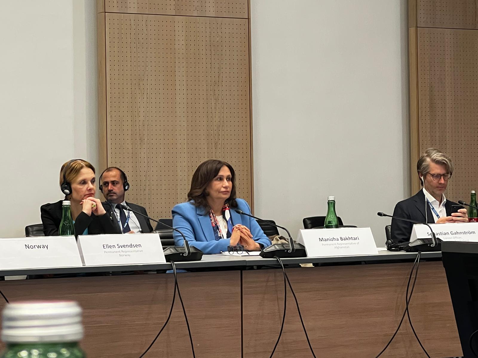 منیژه باختري: د افغان ښځو زړورتیا د سولې لپاره الهام بښونکې ده