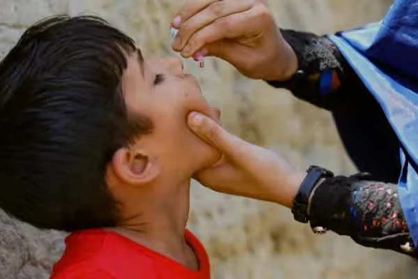 د افغانستان په بېلابېلو ولایتونو کې نن د ګوزڼ ضد واکسینو کمپاین پیلېږي