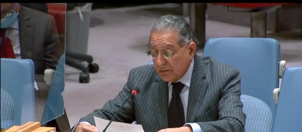 نماینده پاکستان در سازمان ملل: ترویج حکومت فراگیر در حیطه وظایف یوناما نیست