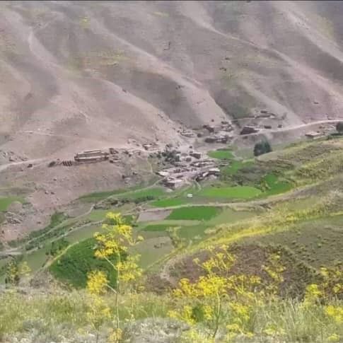 طالبانو په بامیانو کې خلک بندیان کړي او د سید او د پاچا د لور قبرونه یې سپړلي