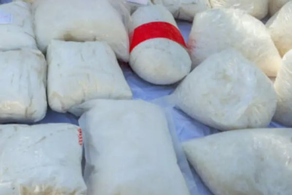 No Evidence of Reduction in Drug Production in Afghanistan, Says Iranian Official