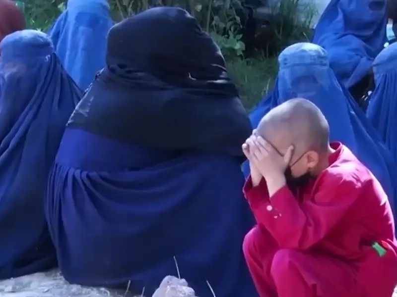 طالبان: په هرات ولایت کې مو تر ۶۰۰ ډېر سوالګر را ټول کړي