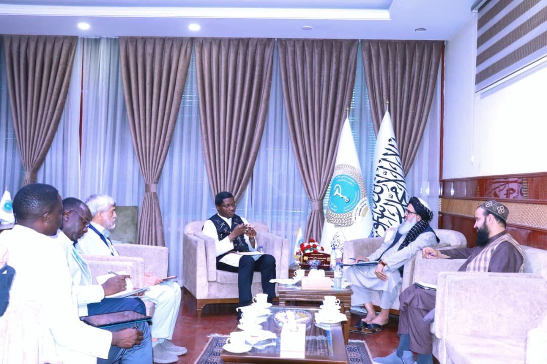 طالبان: هڅه کوو د هېواد ټولو برخو ته عادلانه او اغېزمن روغتیايي خدمتونه ورسوو